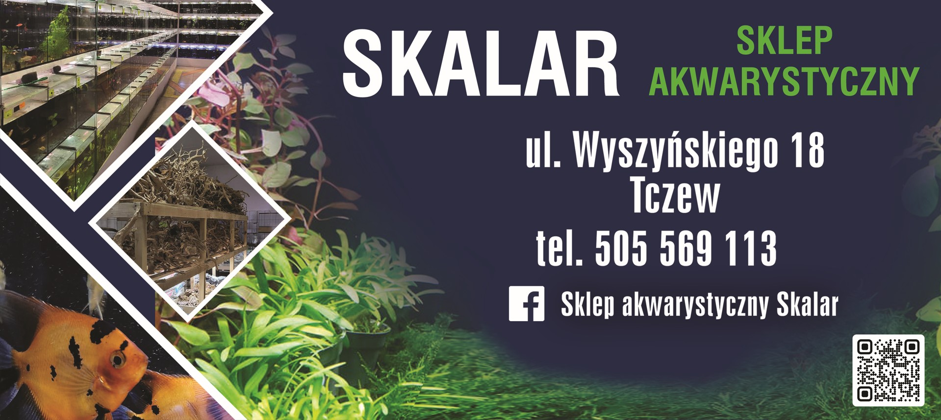 akwaria TCZEW